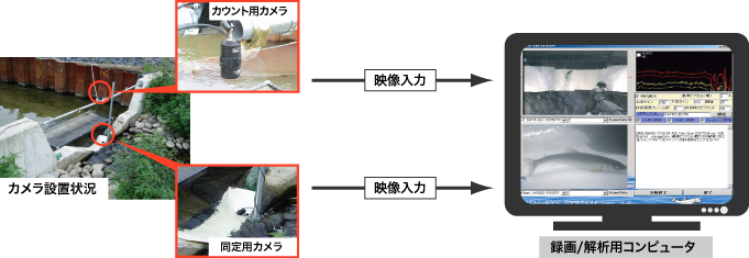 システム設置例 システム設置例