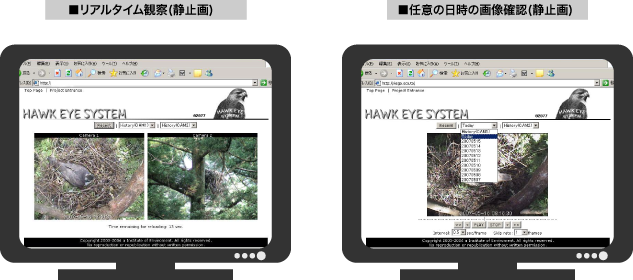 表示例 表示例