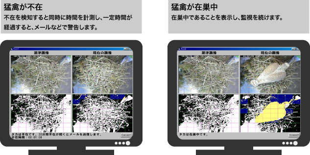 自動監視 自動監視